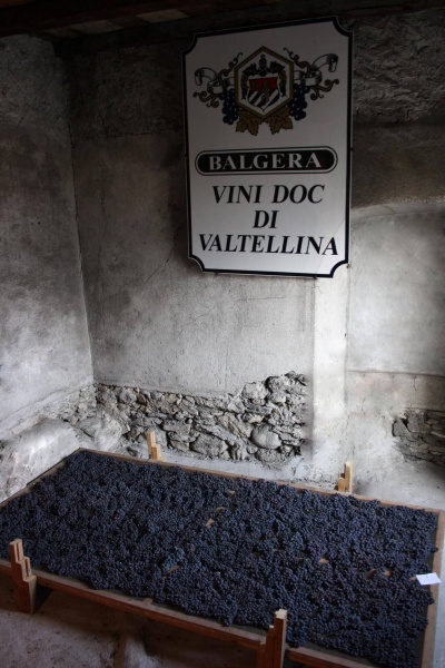 Azienda vinicola Balgera